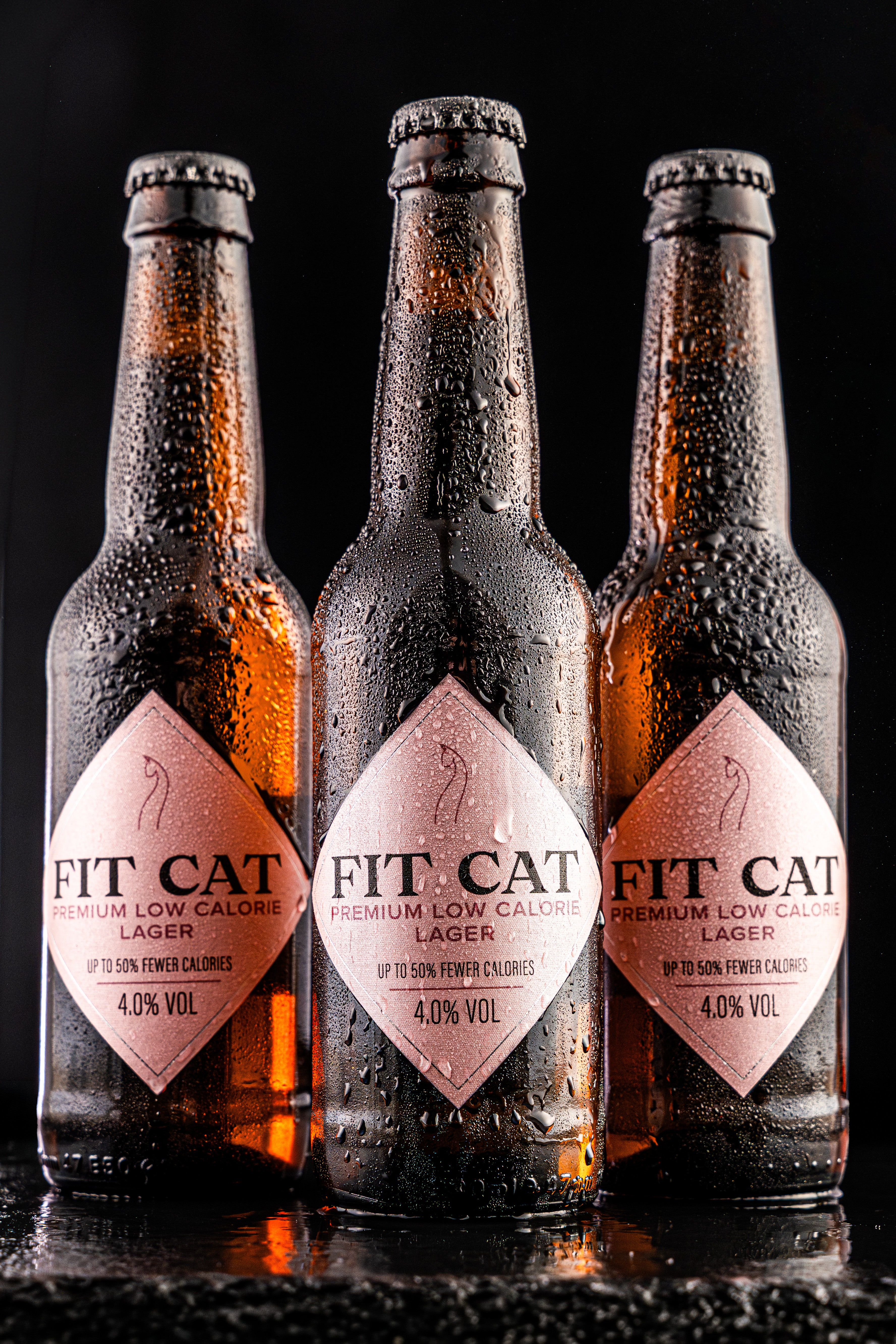 FitCat Premium Light Lager